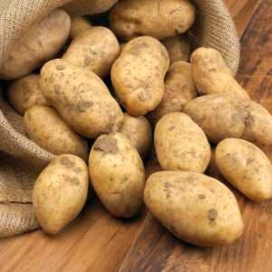 Patata