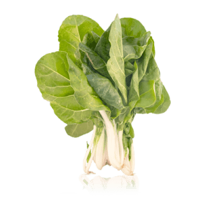 Acelgas Manojo