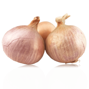 Cebolla Figueras