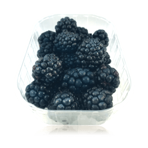 Moras Negras
