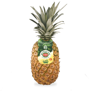 Piña Avión Del Monte
