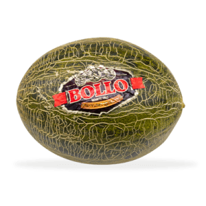 Melón Bollo